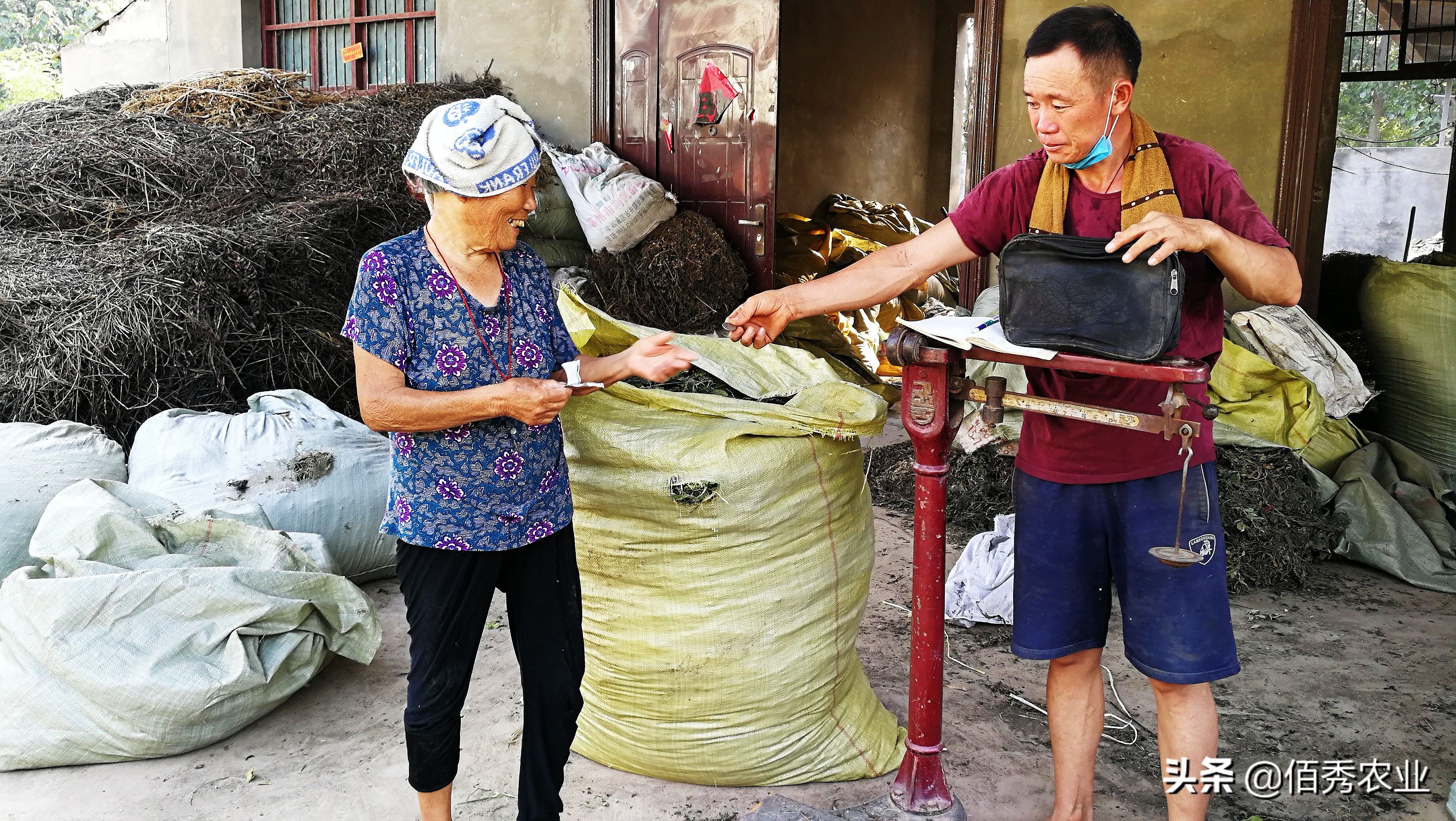农民40岁以后干什么工作最赚钱,50岁农民打工一年能挣多少钱