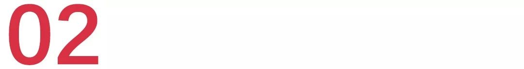 新瑞鹏深度分析,新瑞鹏和佳雯