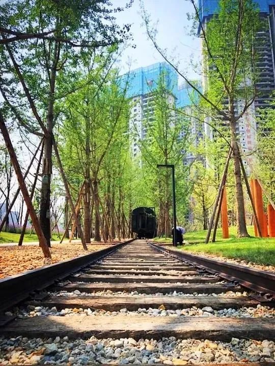 成都金牛天府艺术公园,成都金牛公园