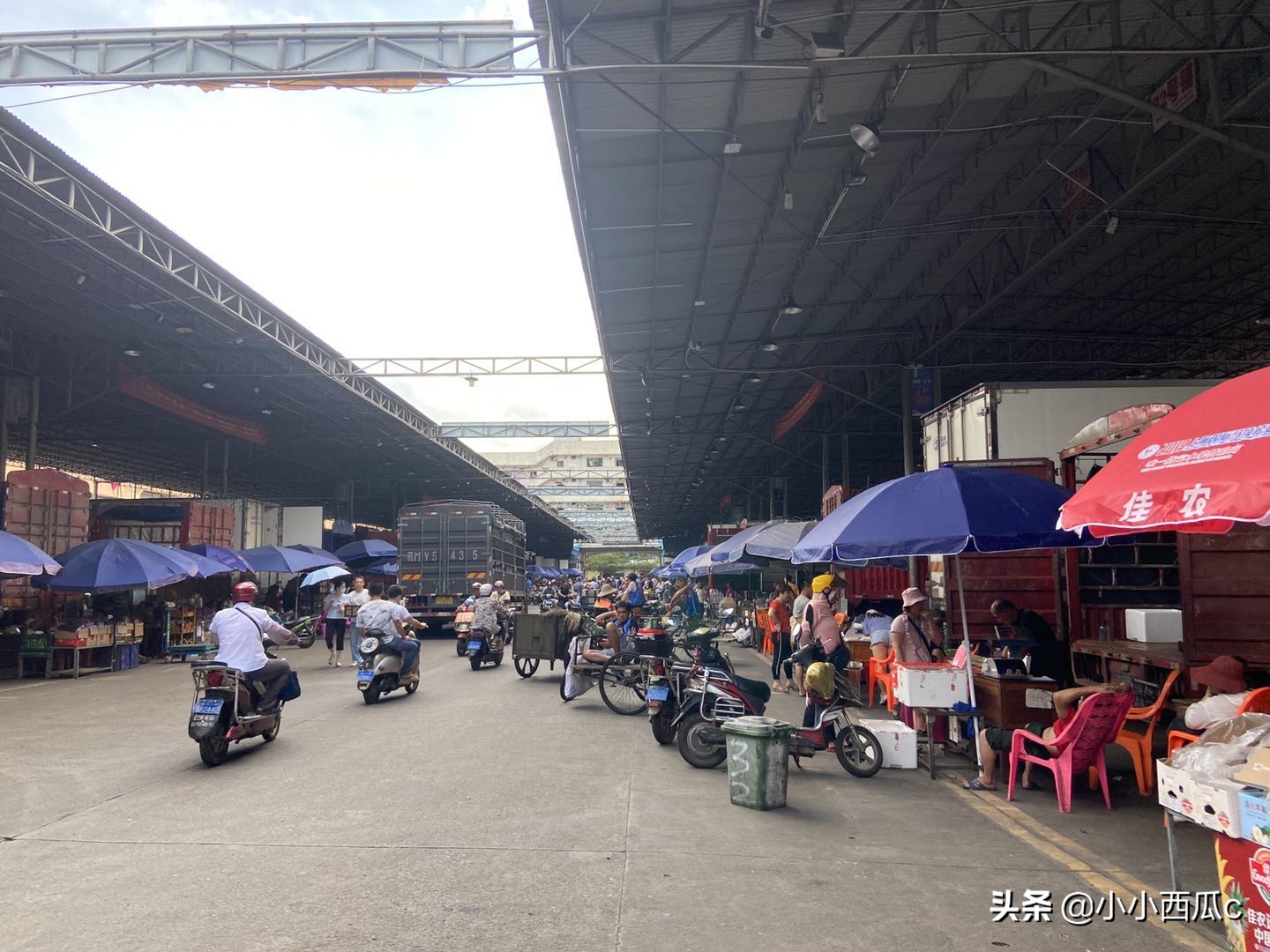 海南海口最大的水果批发市场,海口南北水果批发市场今日行情