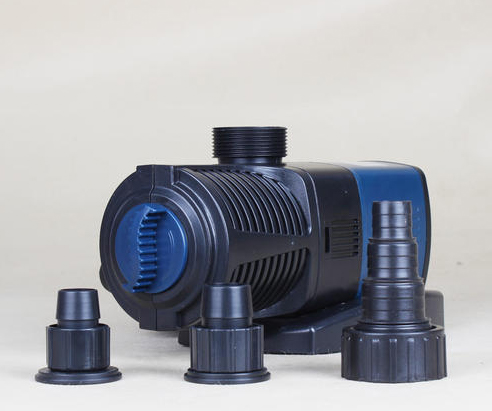 新手客厅鱼缸怎么养鱼,鱼缸养鱼新手入门教程