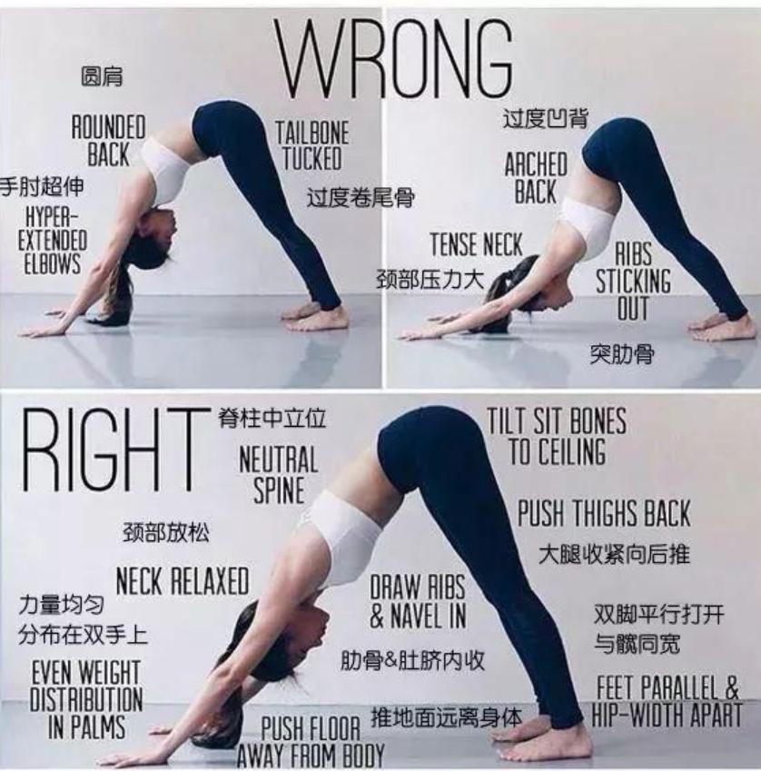 下犬式的脚后跟可以着地了,下犬式脚后跟触地