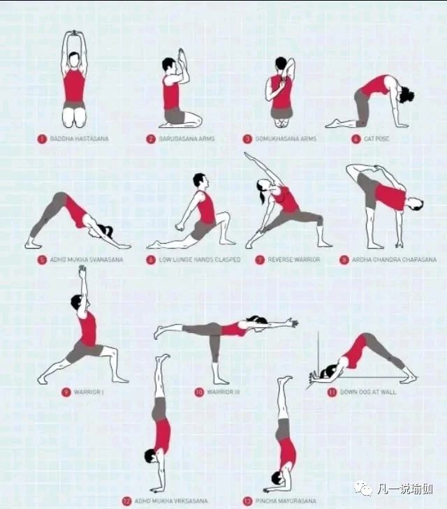 瑜伽蹲序列排课,自己不会制定健身课程
