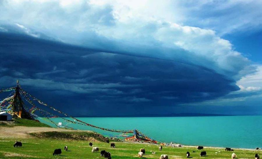 发现孩子偷自己家钱怎么办,小孩子偷家里的钱不承认怎么办