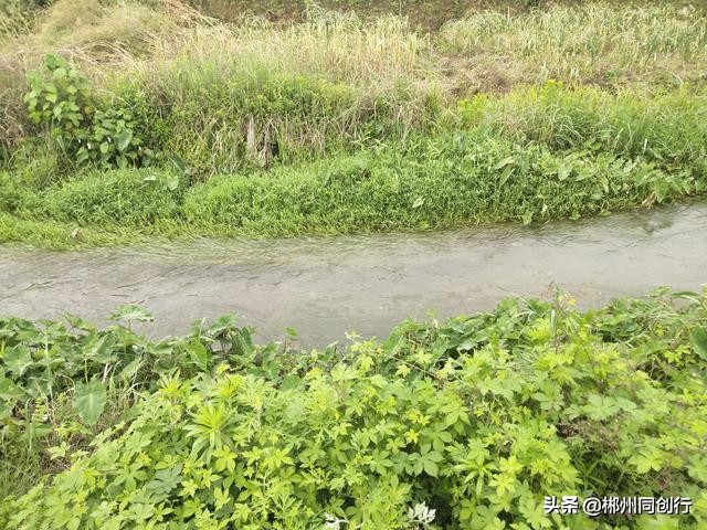 郴州的房子哪个位置的好一点,到郴州买房生活怎么样