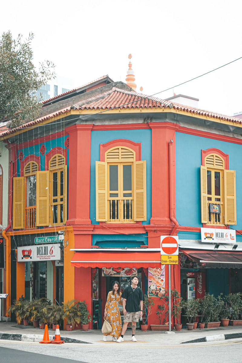 一人一猫环游,一人一猫旅行