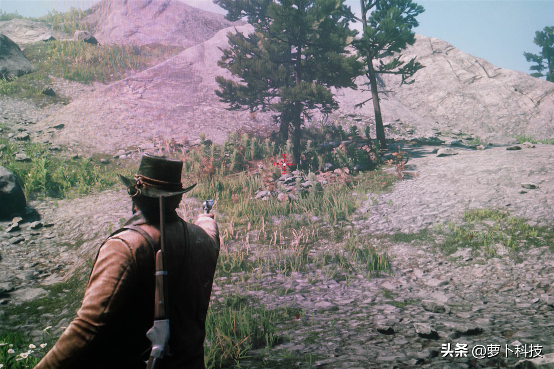 32寸2k165hz曲面屏显示器推荐,2k165hz32寸显示器测评曲面