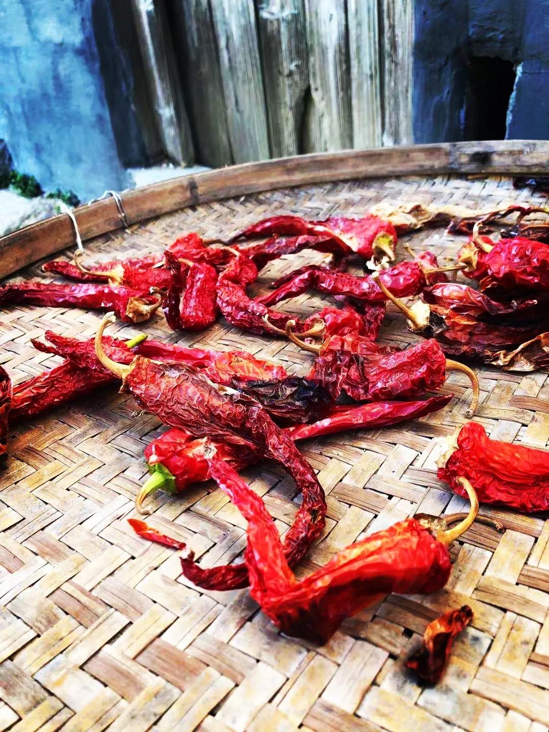 楹﹀厓鎽勫奖,楹﹀厓瑙嗛