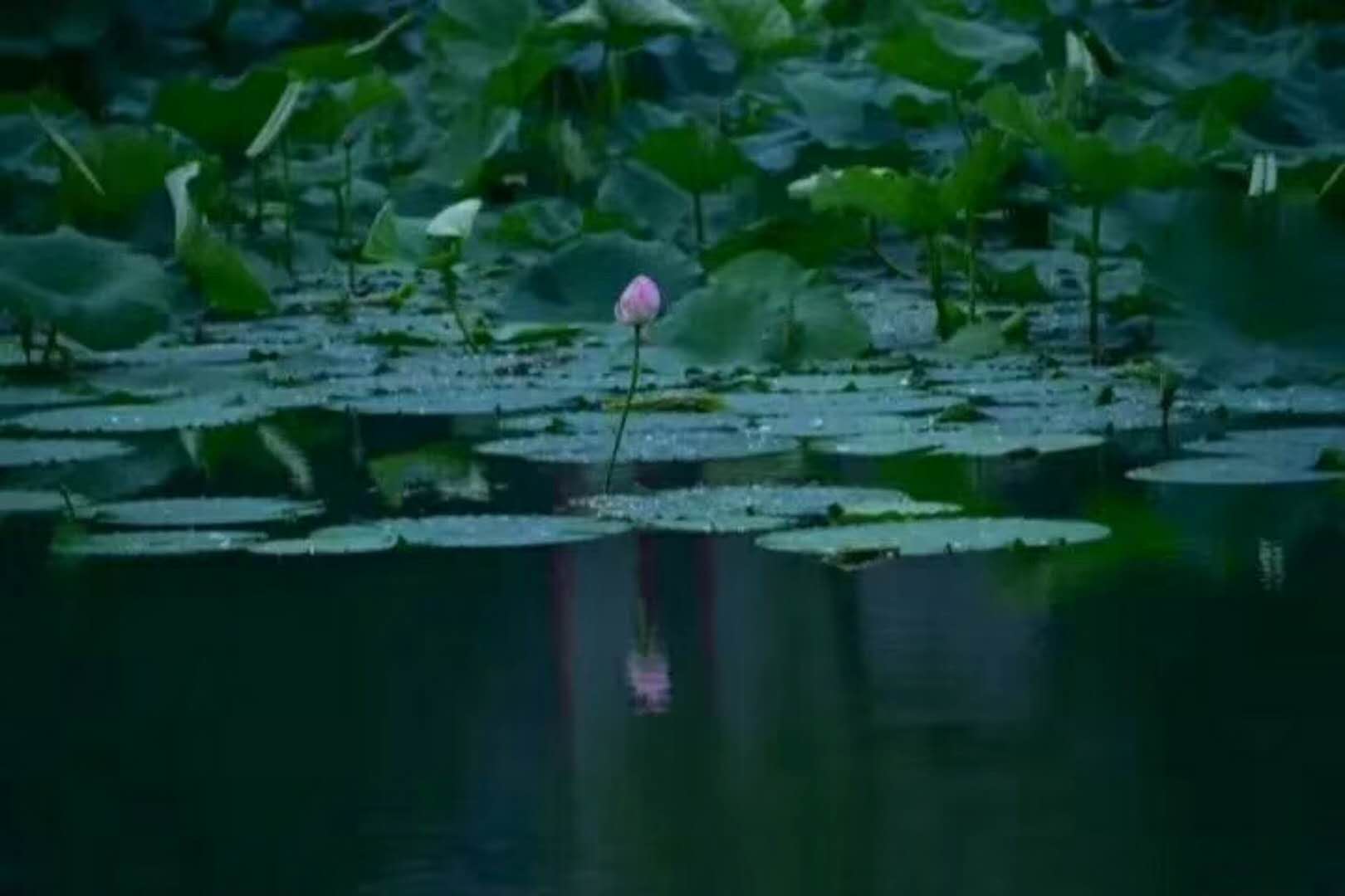 寮冧經鍏ラ瓟,浣涘叆榄斿埌搴曟湁澶氬己