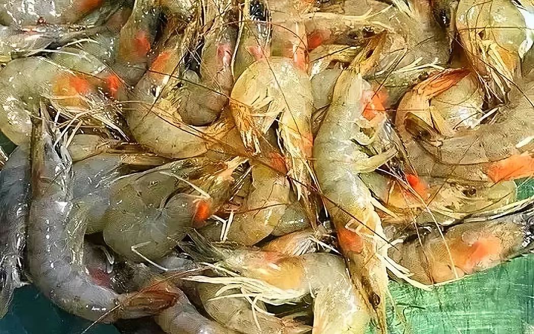 盘锦美食必吃10家饭店,盘锦寻鲜记