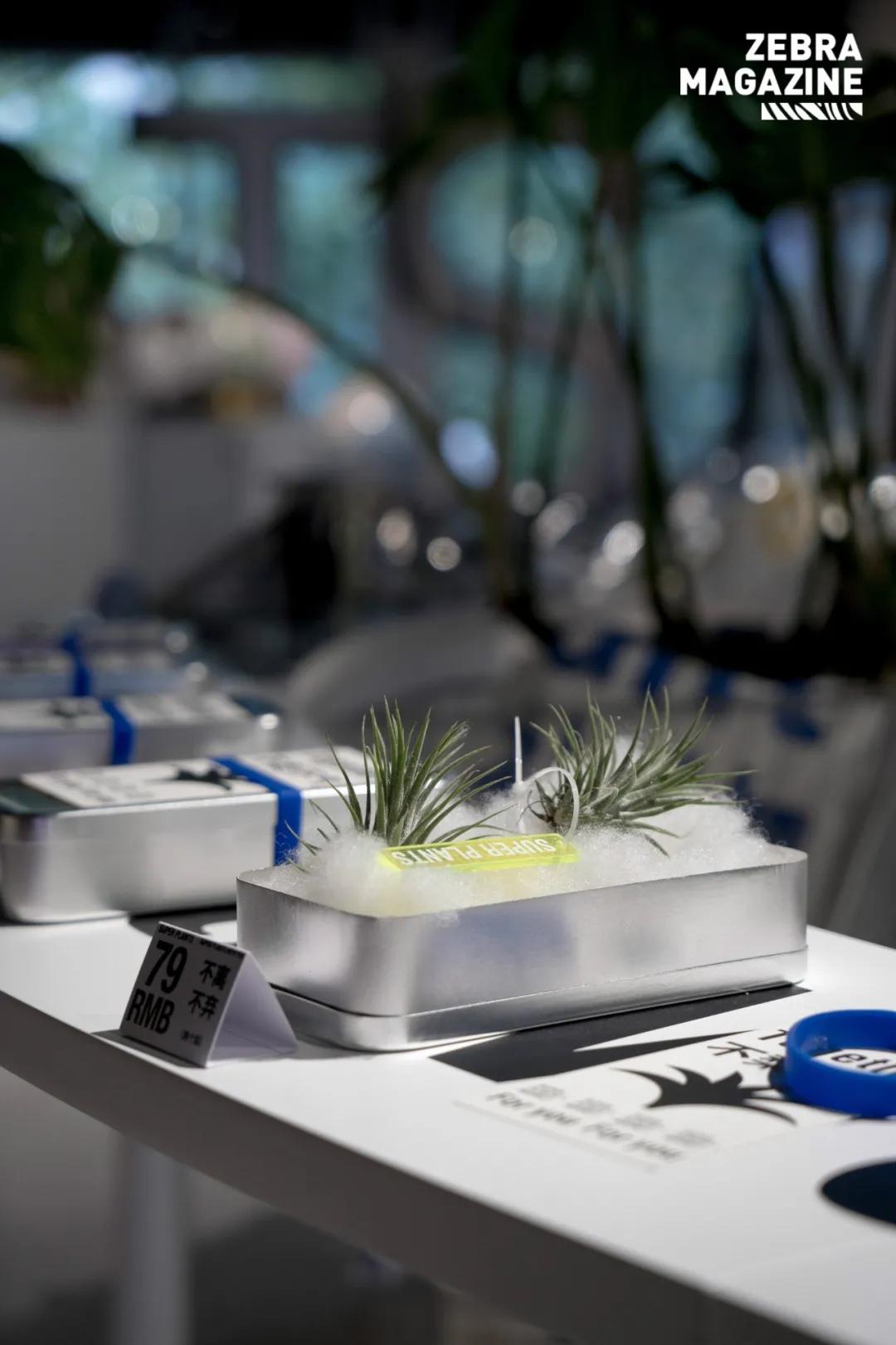 淮海路顶流出片地!21岁、重新回归的「上海广场」好好拍哦