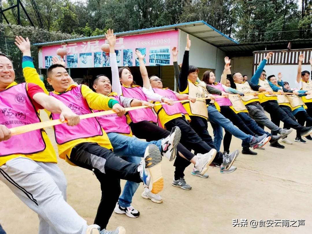 金丰汇聚，共创未来——2020“金菜花”营销精英训练营（第二期）圆满闭营