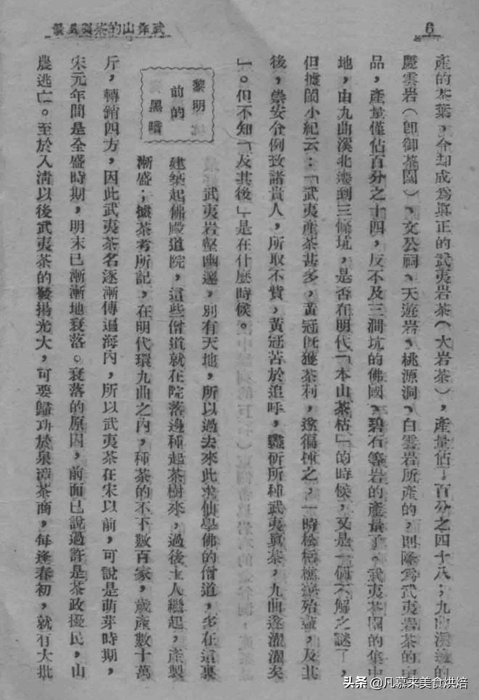 福建水仙茶是什么茶特点是什么,武夷水仙属于什么茶种类