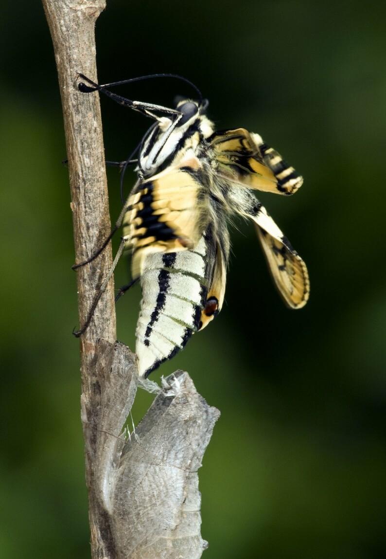 如何才能彻底改变自己变？请做到以下4点