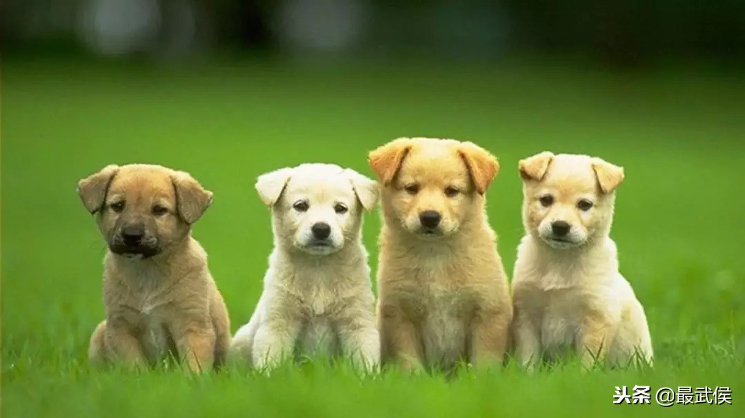 在哪里买东西又好又便宜？2018成都最全批发市场合辑来了