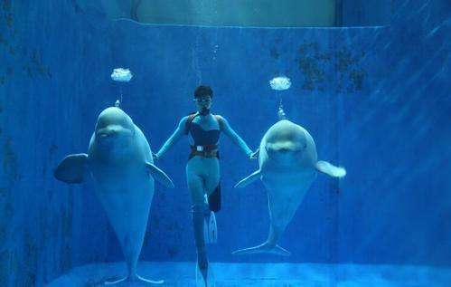 哈尔滨极地馆景点夏季,哈尔滨极地馆附近还有什么景点