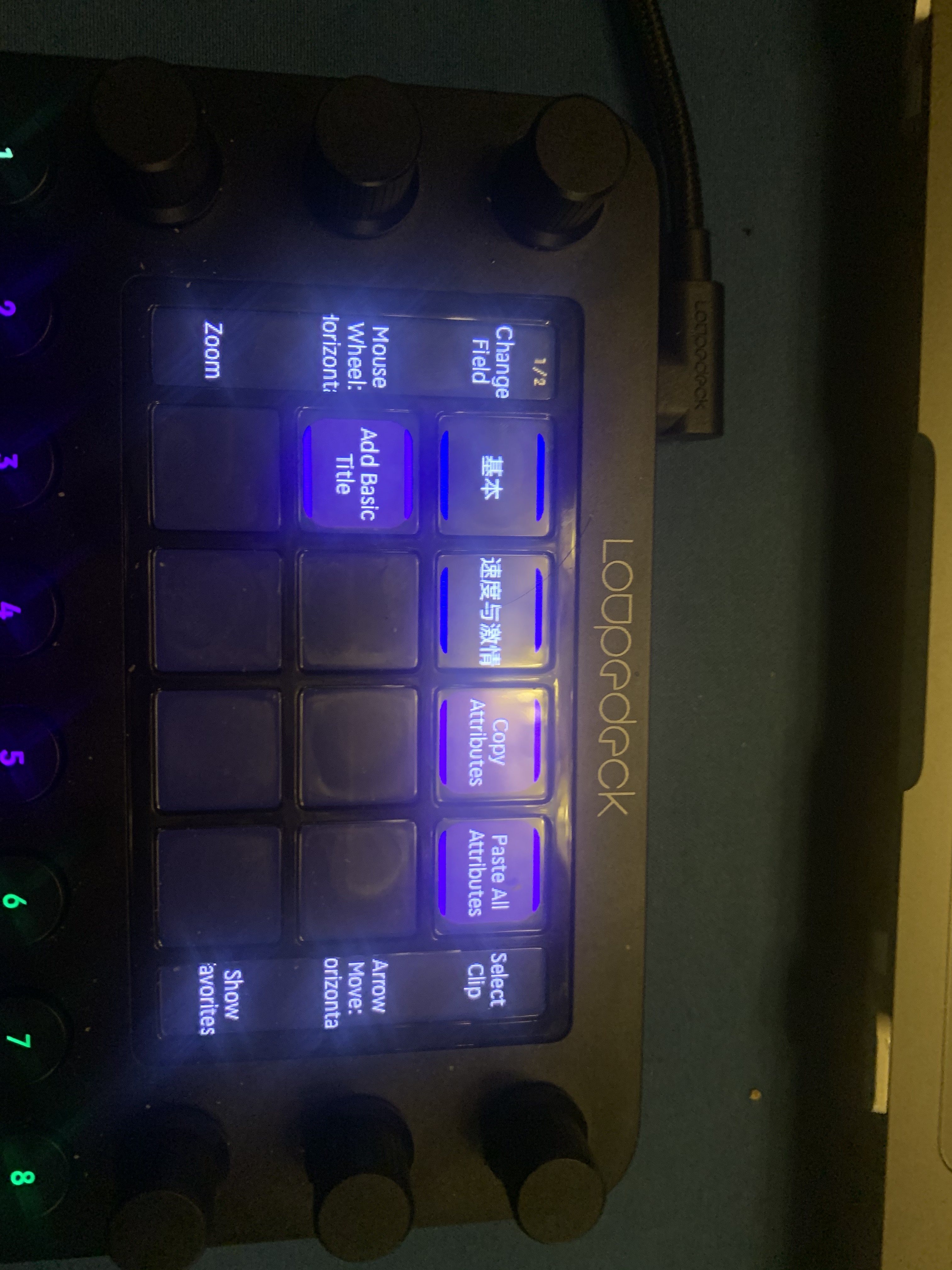 萌育感·U宝的一周（2月22日~2月28日）