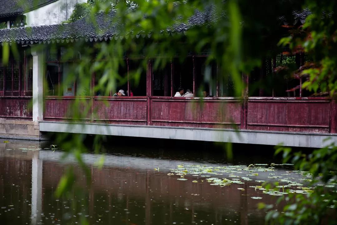 苏州园林静谧之美,苏州小众园林