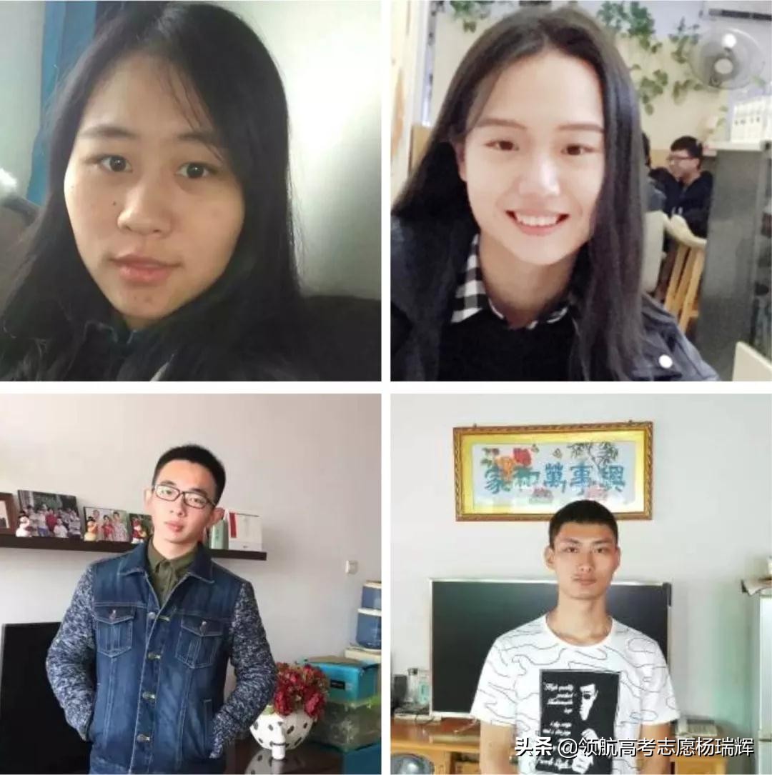 高考报志愿必备工具书有哪些,山东省新高考志愿填报必备工具书