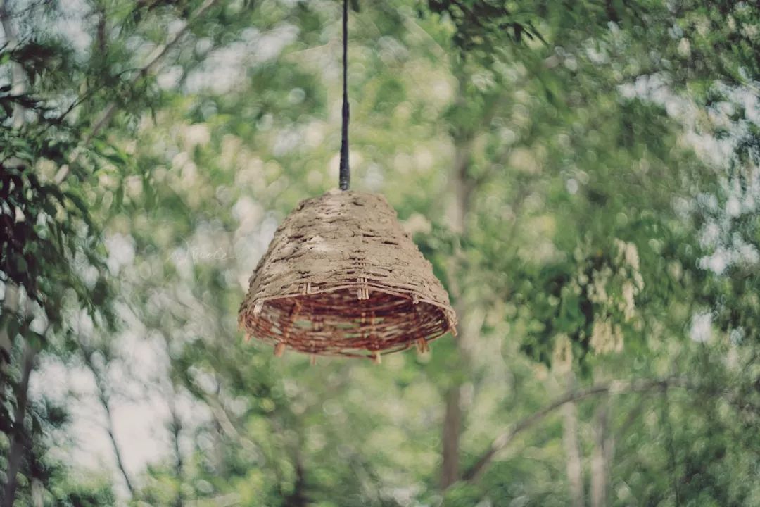 可盐可甜是哪首歌的歌词,可盐可甜出自哪