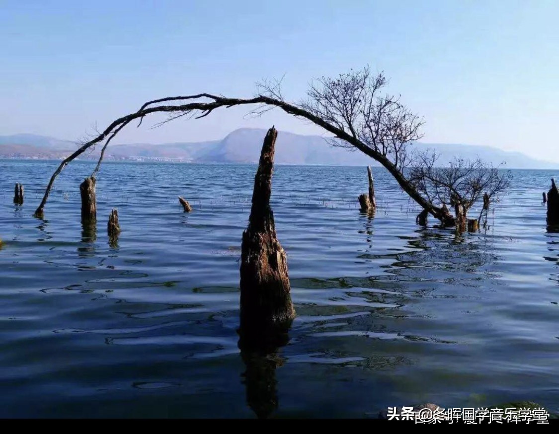 论语有言己所不欲勿施于人,论语全篇己所不欲勿施于人