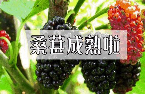 十堰市坐公交车最新要求,今天十堰公交202出行情况