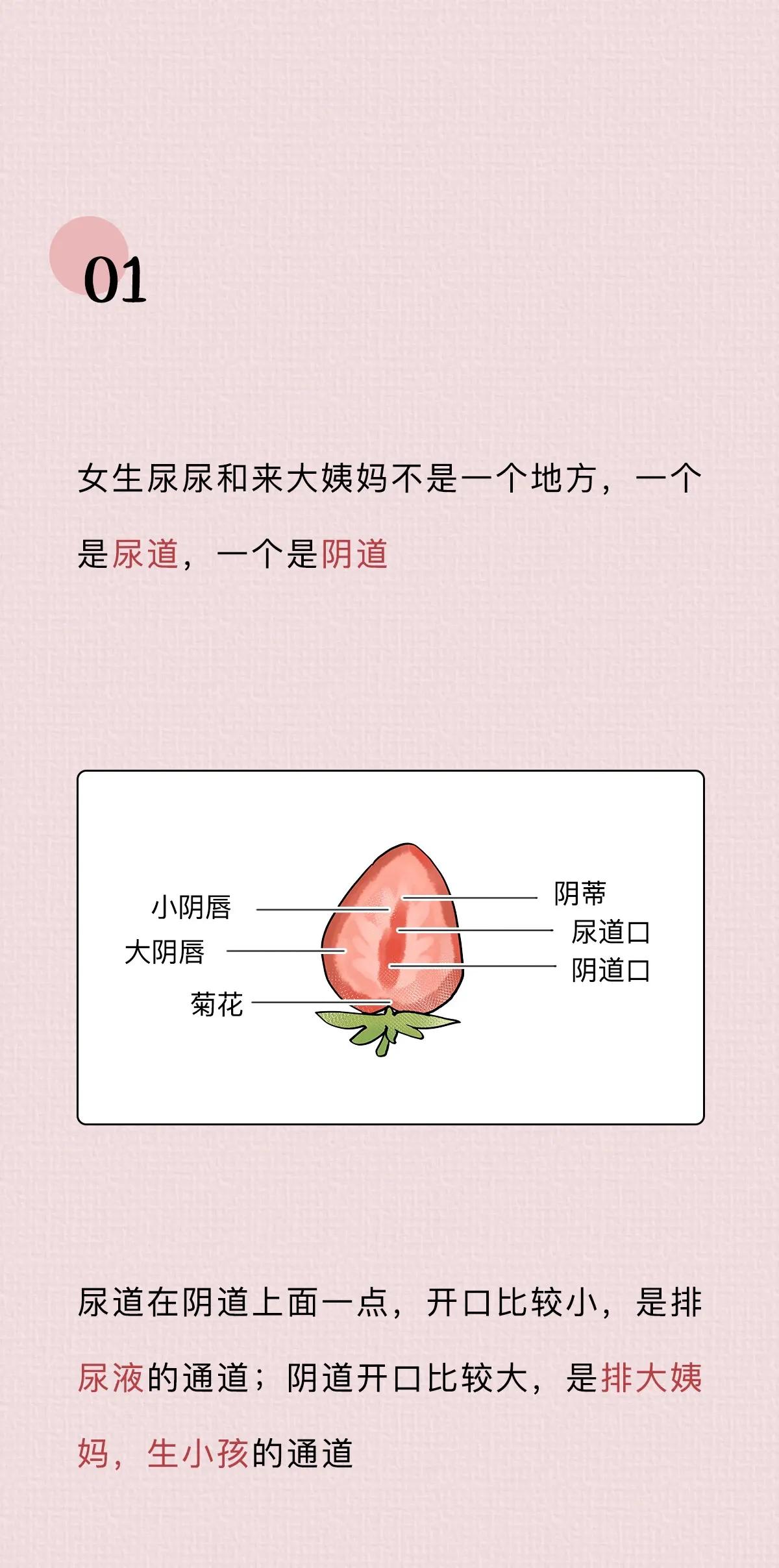 两性知识科普：你所不知道的阴道知识