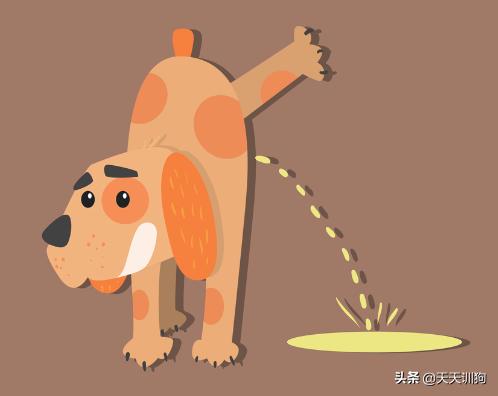 鐙楀瓙鎶吙鎾掑翱,鐙楀瓙鎾掑翱鎶吙