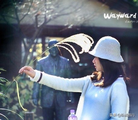 散步关西の日本深度自由行大阪都门奈良城崎、白滨温泉（上篇）