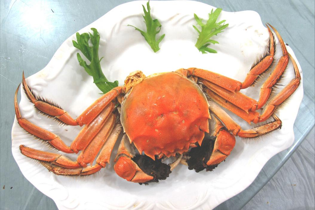 螃蟹哪个地区的最好吃,中国的螃蟹有多少种哪种最好吃