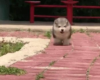 妈妈不得错过的接种疫苗小知识,关于乙肝疫苗接种知识