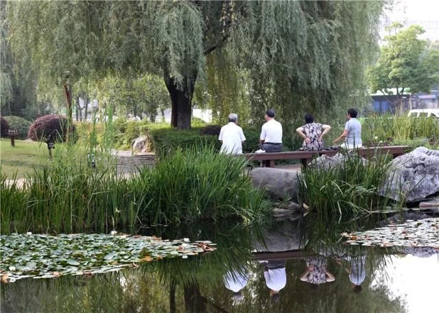 南京免费的公园,太全了