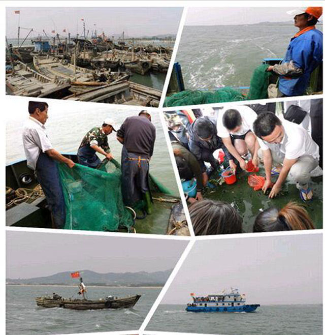 一轮骄阳升日照，二夜美梦伴海涛，三天渔家海鲜饱朋友同行欢笑多