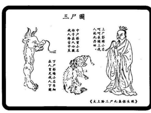 道德经中的法门一气化三清,道德经23章怎么解说