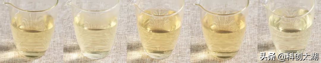 什么茶泡茶最好喝,哪些茶用开水冲泡好喝又健康