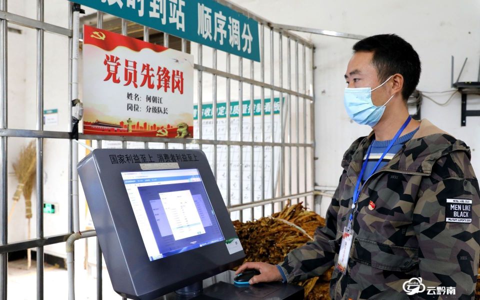 多措并举推进烤烟工作,烟叶党建与业务融合具体工作措施