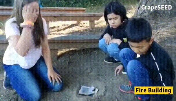 美国夏令营葡萄籽,国际游学夏令营美国