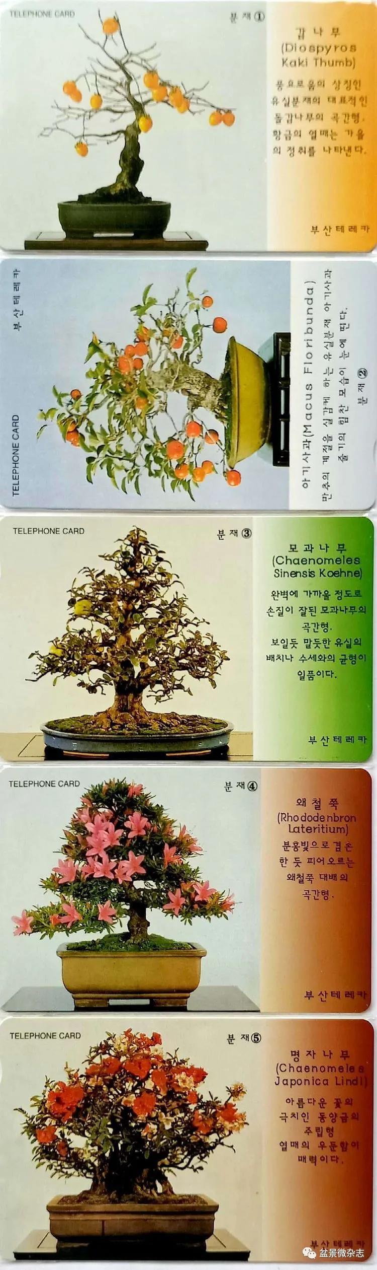 鐩嗘櫙鑱旂郴鐢佃瘽,鐩嗘櫙鑱旂郴鐢佃瘽鍙风爜