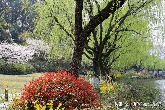 周末微旅行：秦望山麓访名校，白沙堤岸醉桃柳（第二季）