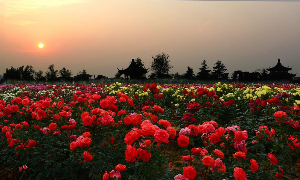 再过半个月，全国人民都将羡慕南阳