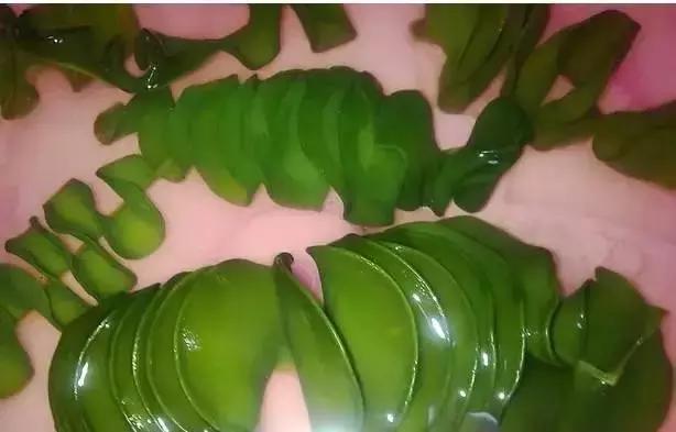 宁波一渔民整理海鲜大全,宁波最全的海鲜