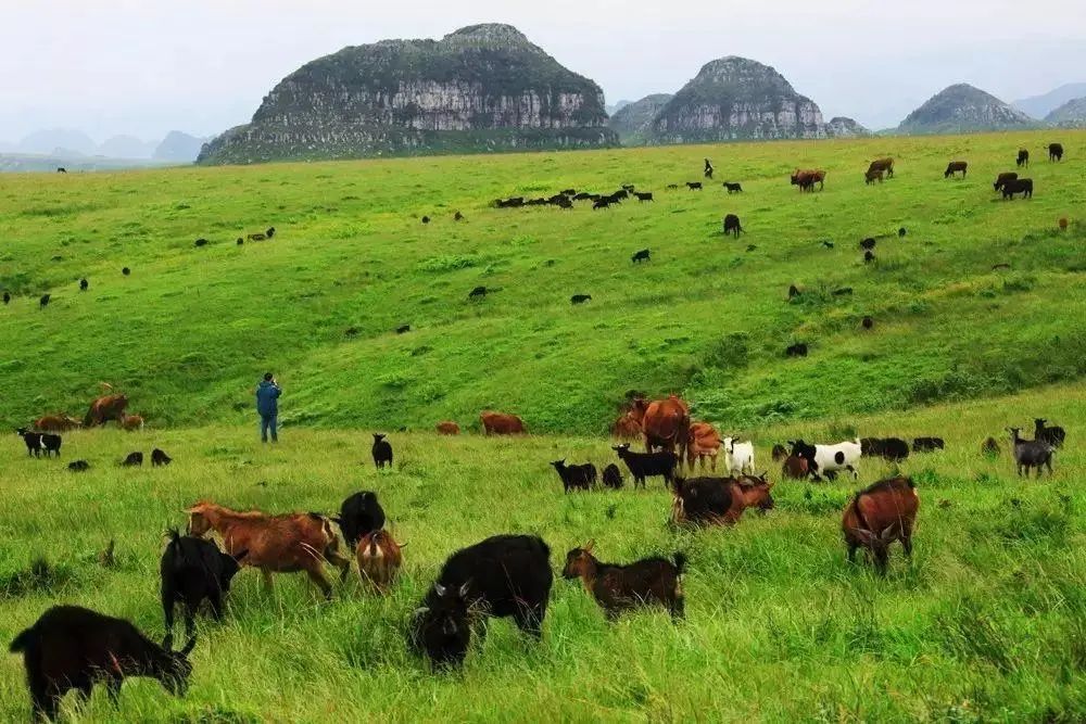 贵州私藏,贵州私藏的秘境