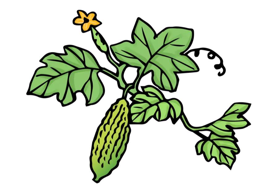 嘴皮干燥长水泡是上火了吗,嘴皮上火起泡干燥怎么快速消除