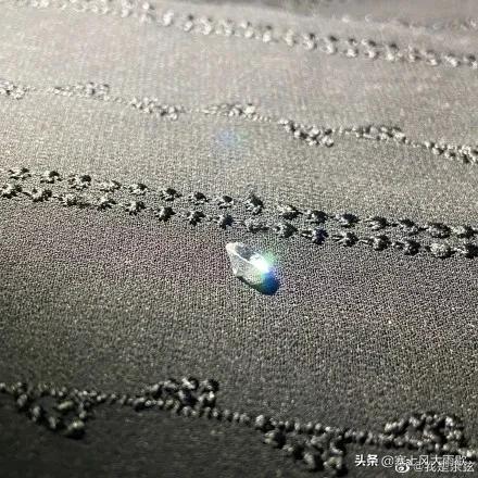 最新笑料合集，哈哈哈哈哈哈哈哈哈哈哈奇怪的知识又增加了