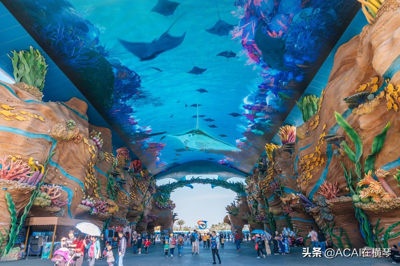 吃喝玩乐in珠海,珠海吃喝玩乐一体的地方