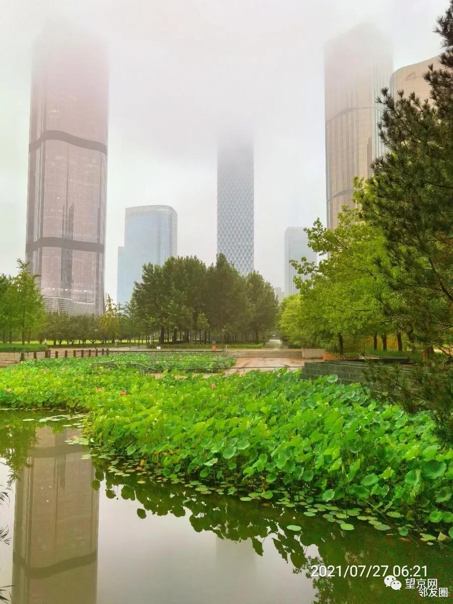 我们望京是仙境，不信你看