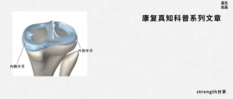 恶名昭彰介绍,恶名昭著劳伦斯