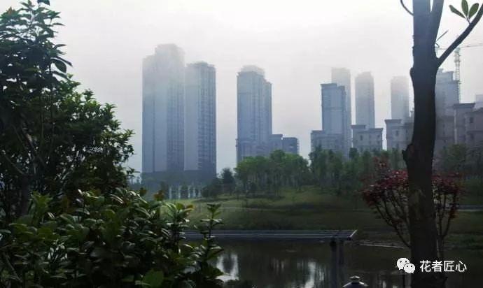 袁州新城楼盘,袁州区崛起