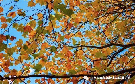 北大院长讲史：第一株病毒是如何被人类发现的？|赛先生