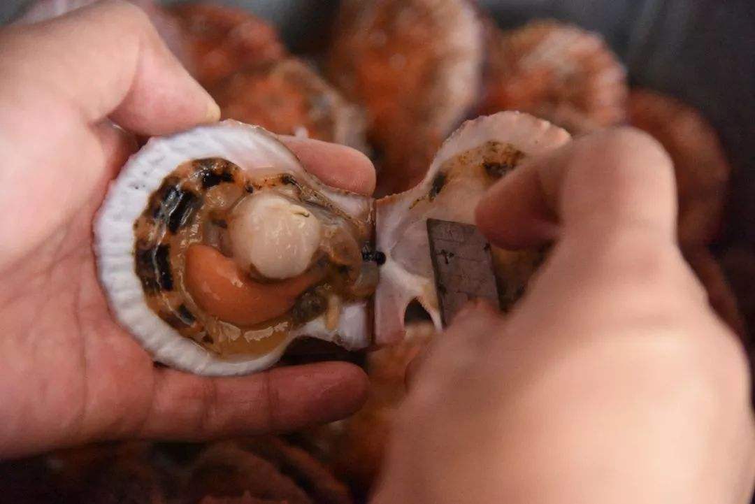 买这个食物一不留神就会上当，内行教你用4步轻松选到精品